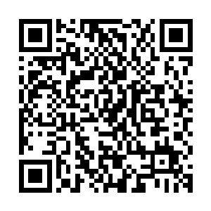 莉莉拿来讽刺过我很多很多次还有可以别叫他斯皮尔伯格先生吗二维码生成