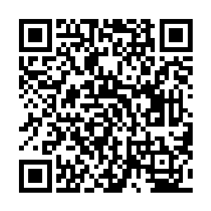莫非也是在类似白森林这样的特殊环境中诞生的特殊宝物二维码生成