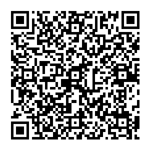 著名的书画大家陈道名先生曾经说他可胜任水木大学和燕京大学这两所国家级名校的大学教授二维码生成