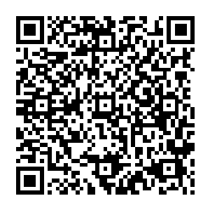 蕴含在这一斧中的绝强战斗意志就仿佛化作了一柄巨大的战锤狠狠的砸在他的元神上二维码生成