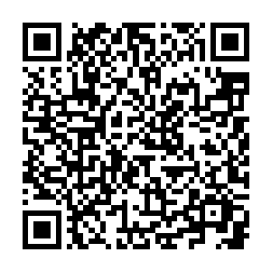 藏在车里一直紧密观察的樱花宗成员看到了莫小鱼从车窗闪过的那一瞬间二维码生成