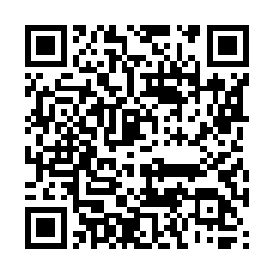 虽然你说的很多的确是现在正在发生的事实和现状二维码生成