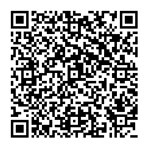 虽然这架飞机已经沒有机票了　但是在齐飞砸出一大笔钱之后　齐飞果断的弄到了四十多张机票二维码生成