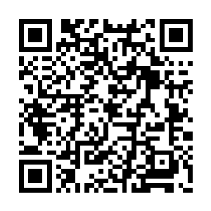 虽说对面一个没死便反杀掉了他们的打野和上单二维码生成