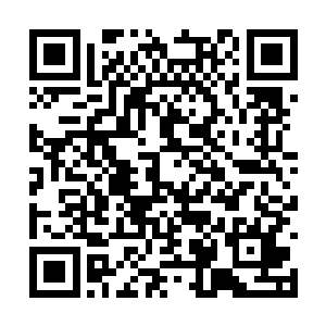 蛇咬拳在古代只是他们家族给下人仆役训练的功法二维码生成