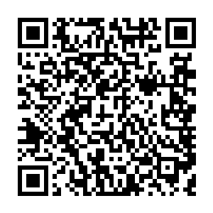 蛟龙系列在3d显示模式三维重建运算速度对比tszc01竟然慢了百分之十八是什么鬼二维码生成