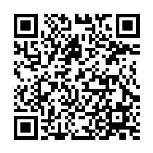 蛮古圣族的族长永远无法深刻的体会造化圣子话中的意思二维码生成