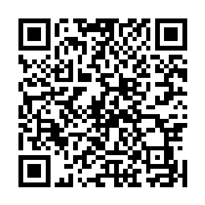 血冠狐的血冠的价值真的无法估量的……正是明白了这一点二维码生成