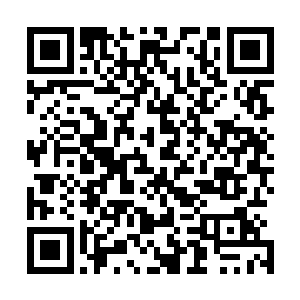 被圈养的生灵的繁衍生息便可时时刻刻增加着小乾坤的底蕴二维码生成
