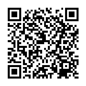 要不是实在没法活了又怎会千里迢迢到京城告御状二维码生成