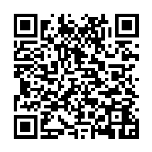 要是传出去开发区的主任和市委组织部长一起野游二维码生成
