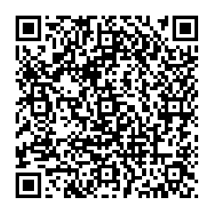 要是到时候两个人都到了灵力枯竭的时候龙傲天忽然拿出一些攻击玉符绝对可以起到出奇制胜的效果二维码生成