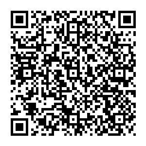 角厮罗和没藏讹庞现在就是两个把所有将士的血肉贴在自己身上准备决战的两个巨人喀罗川就是巨人决斗的战场二维码生成