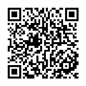 言笑梦和乔任女还真需要他这么一号人――事实上也是各取所需二维码生成