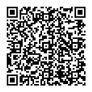 警方要制伏他们简直是易如反掌……直到被押上警车时那三人才后知后觉地意识到――最后那几条指令似乎不是二维码生成