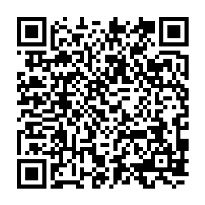 让曼城的球员很不适应――他们此前真没想到这场比赛切尔西会抢的这么积极二维码生成