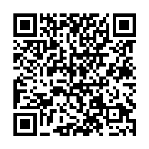 许多我认识的人如果算上我在时间之塔里的修行时间二维码生成