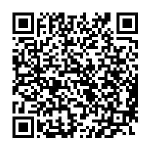 许盼盼还能根据虫种出没的数量和类别判定有没有值得放监控的价值二维码生成