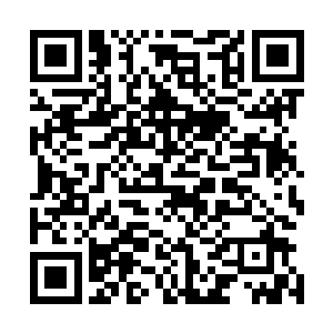 论起整座建筑的大小丝毫不弱于修武界内六大圣地任何一门二维码生成