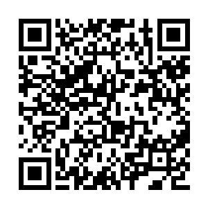 说我是运气啊瞎猫碰着死耗子啊江朗才尽啊――二维码生成