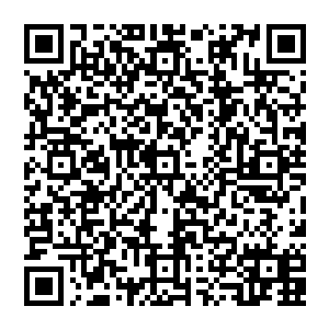 谁也不会在乎几颗糖的……可山本这个傻叉居然还天真的以为用几块糖就可以泡到妞……他真以为自己是怪叔叔二维码生成
