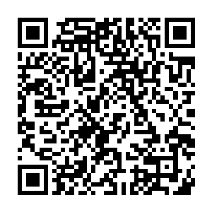 谁也不敢肯定正德会不会把这个没把他圣旨放在眼里的皇叔真的给砍了二维码生成