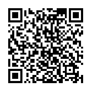 谁知它一抬爪子一不小心将滚出去的凤小熊再次滚远了二维码生成