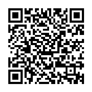 调集所有空余计算能力进行检索……倒计时开始……预计时间二维码生成
