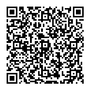 貌似这段时间自己下辖的公会中没有人来申请做巡逻者任务啊…如果不是为了任务是为了什么二维码生成