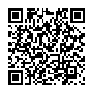 贵妃若是掐指算一算皇上主动前来凤仪宫的次数二维码生成