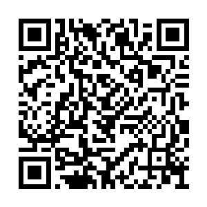 赵长枪将他们带上的理由是保护武术表演团的人二维码生成
