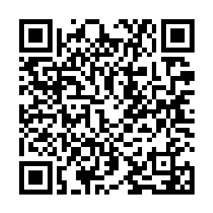 赵长枪的这种表现正是那种罕见白血病早期的典型症状二维码生成