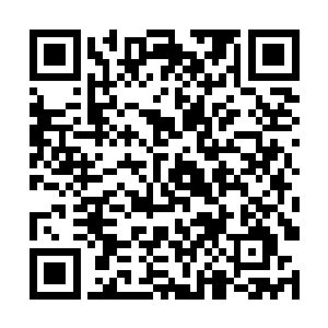 距离杨开距离比较近的数位伪王主立刻朝他扑了过去二维码生成