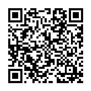 距离秦渭在发布会上自信满满说出的一亿五千万的首周票房目标二维码生成