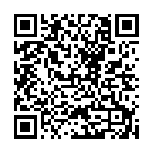 辣椒会用实际行动证明自己多么珍视大家对辣椒的厚爱二维码生成