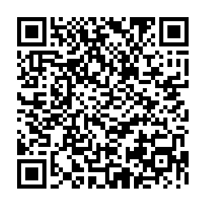 还可以拿着他们在战斗中得到的混沌兽尸体去各个商铺兑换各种修炼资源二维码生成