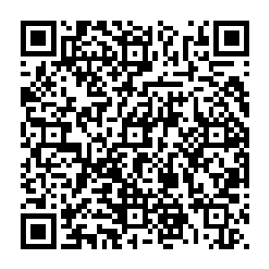 还是昭南翻遍了口袋从牛仔短裤里面抠出来的一枚在香港购物时候刘淑芬给的美元硬币二维码生成
