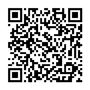 还有寒冰世界的丰富收获和上古万蛇之母的传说打底二维码生成