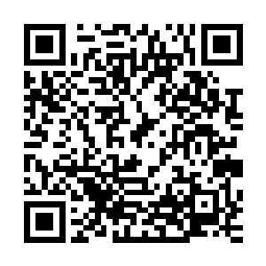 还有法医柯伦波――大家要讨论的是关于游戏系统本身的问题二维码生成