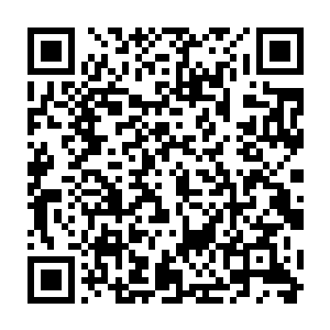 还有那真正的救世任务……难道他之前拯救末世的任务还不算真正的救世任务吗二维码生成