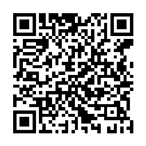 还有顾家的各类堂表亲……自从锦朝和陈家确定婚约之后二维码生成