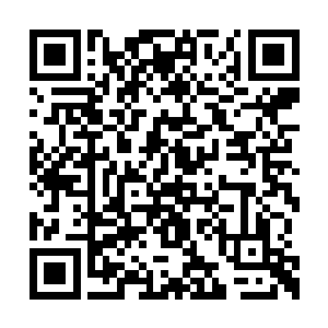 这一代矮人族族长汉可一定要向他请教炼器之法二维码生成