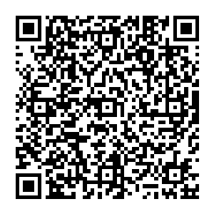 这一拳呼啸带风　眼看着就要砸到赵纯良　却沒成想　这时候　突然从赵纯良的侧面飞出來一个拳头二维码生成