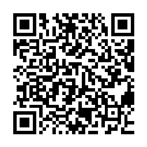 这一次的动用让杨开发现修罗剑并非只是一件天阶的杀伐秘宝二维码生成