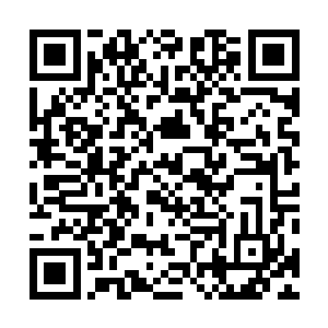 这个价格确实太高了什么的……可是对方竟然什么都没说二维码生成