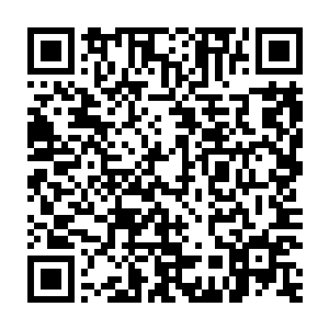 这个家族转移到墨尔纳城储存的一笔巨大的家族财富也落在了张铁手里二维码生成