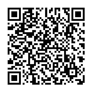 这个时候的暖玉他们在凤辰的保护下已经走过了那段被人用意识干扰他们的距离二维码生成
