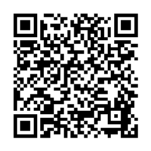 这个时候这条锁链已经完完全全的缠绕了北魔的里里外外二维码生成
