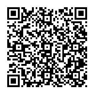 这个老者也把代离小心翼翼得猜测到天资中上但是颇受家族宠爱的一类公子哥里面去了二维码生成