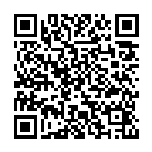 这个队伍和他们之前对付的乌合之众完全不一样二维码生成